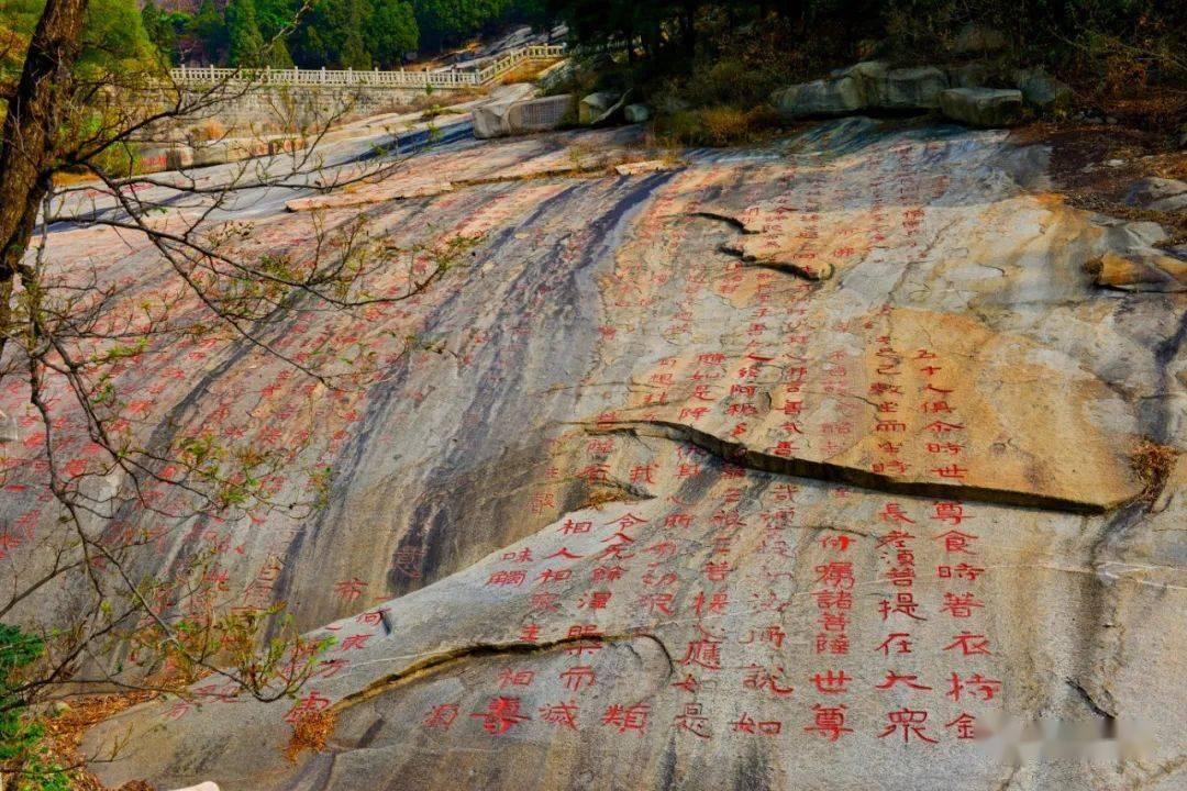 逃离仿真森林